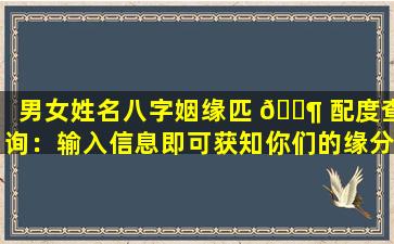 男女姓名八字姻缘匹 🐶 配度查询：输入信息即可获知你们的缘分